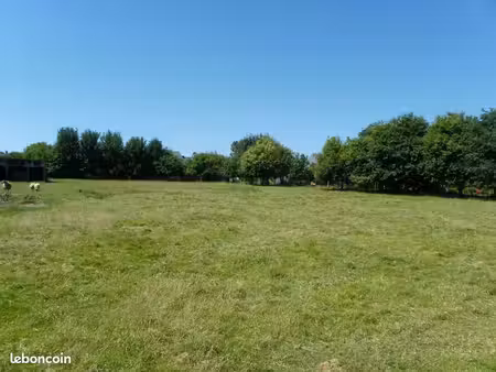 terrain agricole