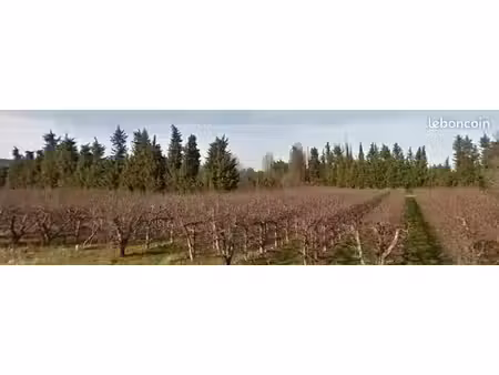 terrain 350 m² senas