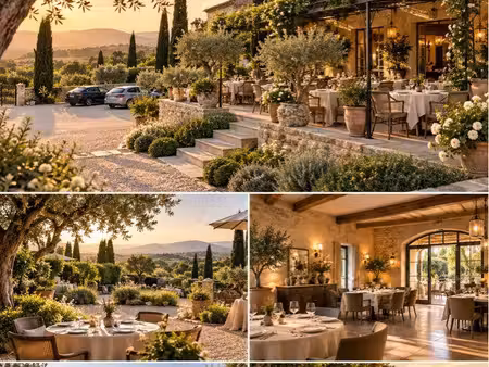 restaurant avec logement  parc et fort potentiel événementiel – aix-en-provence