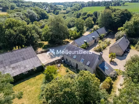 maison 11 pièces à plogastel-saint-germain  605 m²  terrain de 29 557 m²