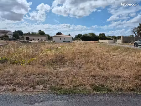 terrain constructible