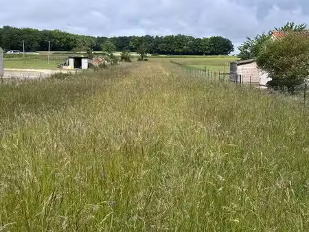 terrain à bâtir de 2200 m2 au prix de 30000 à jauldes (16)