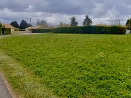 terrain constructible