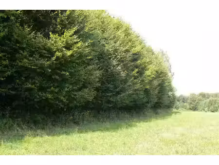 parcelle forestiere de feuillus 15.740 m2