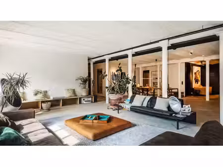 lumineux loft avec terrasse et parking