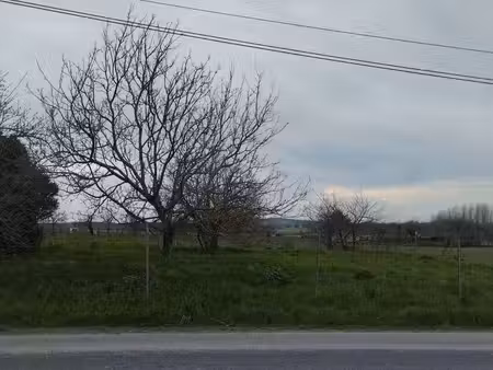 terrain a vendre 2250 m2