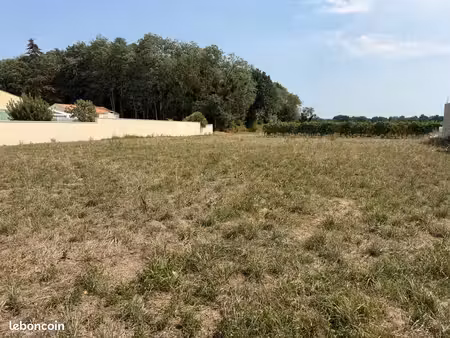 terrain 1 023 m² epargnes