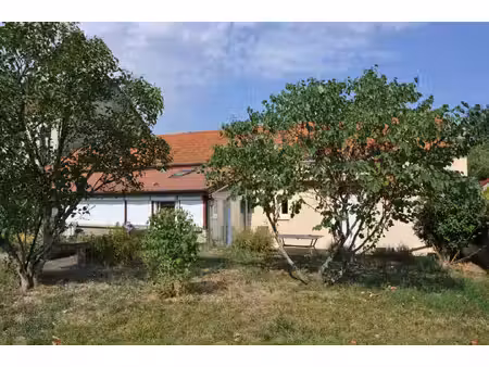 stephane goutaudier immobilier