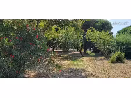 terrain arboré constructible 815m2 île d'oléron