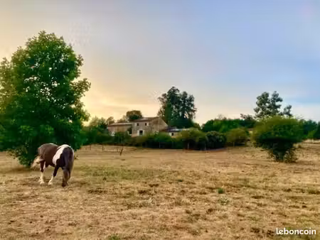 belle maison en pierre sur 1 hectare 5