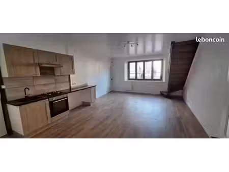 t4 duplex en rdc  terrasse  jardin privatif centre argentat