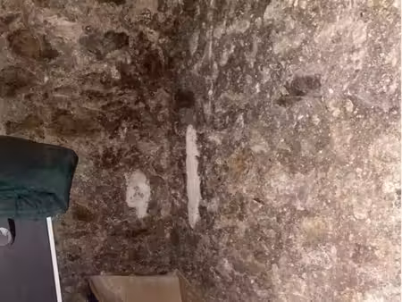 cave à louer
