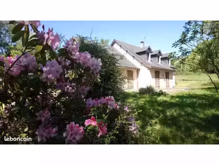 maison ville 160 m2 plain pieds sur 5000 m