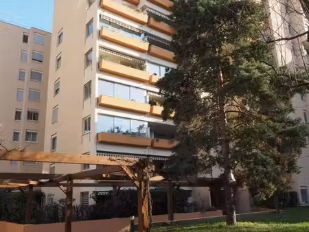 beau t3 villeurbanne gratte ciel à louer