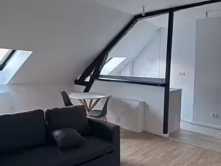 appartement t1 bis rénové au centre-ville de vierzon