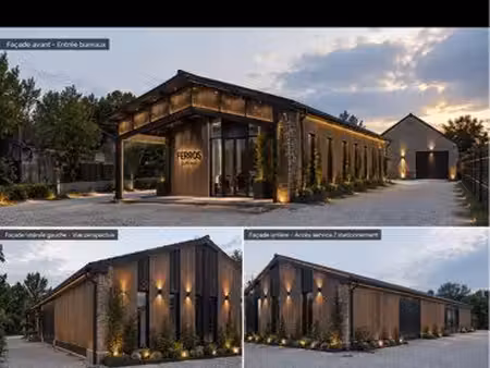 locaux professionne bureaux
