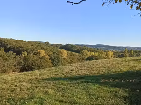 terrain 1 973 m² saint pantaleon de larche