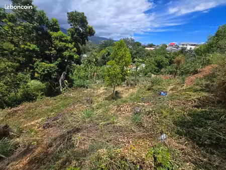 terrain 358 m² sainte marie