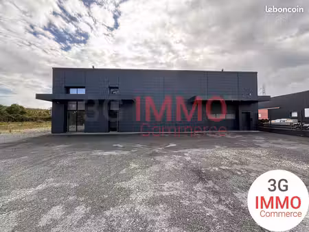 vente pro (murs) | local industriel / bâtiment | 300 m² | saint-georges-des-coteaux