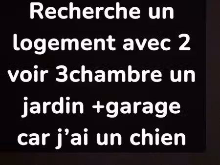 recherche un logement