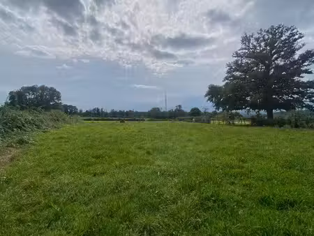 terrain 2226m2