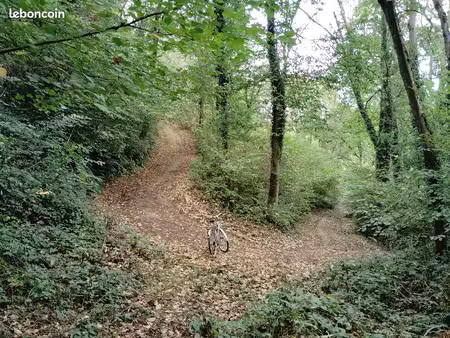 terrain boisé