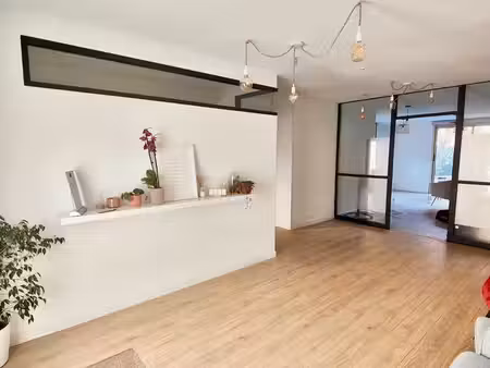 local pro/commerçant 120 m² (pmr + parking) + t2 indépendant de 70 m² (revenus : 1 500 /mo