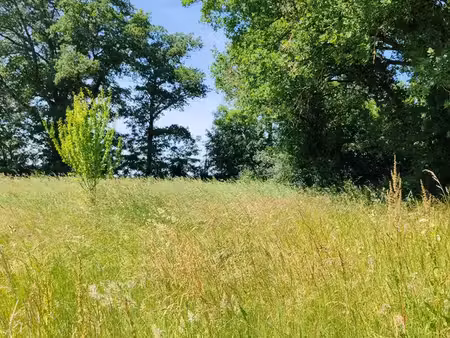 grande bâtisse dans son jus sur son terrain arboré de presque 5000m2