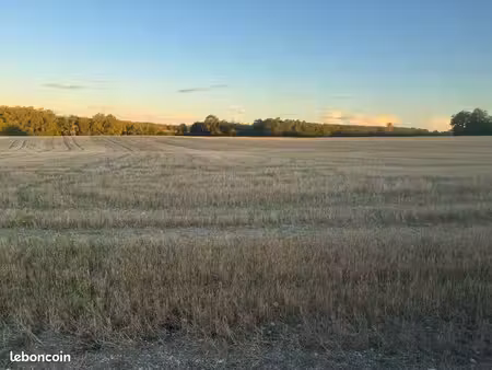 terre agricole