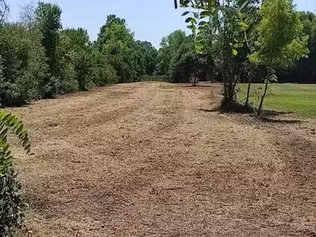 terrain agricole