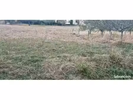 terrain 1580 m2 les premiers sapins