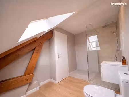 grand t2 (+ mezzanine) rénové au centre ville montbéliard – colocation possible