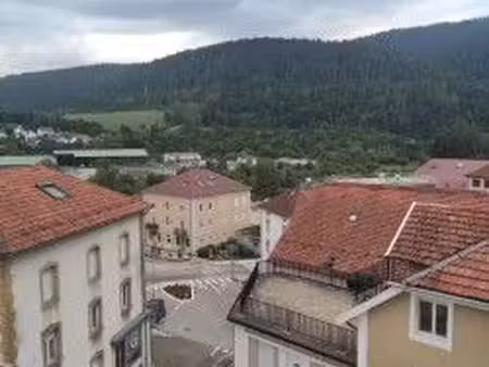appartement entièrement refait à neuf  centre-ville