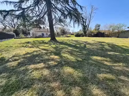 vente terrain à batir 1000 m² à saint-martin-de-hinx (40390)  124 000 €