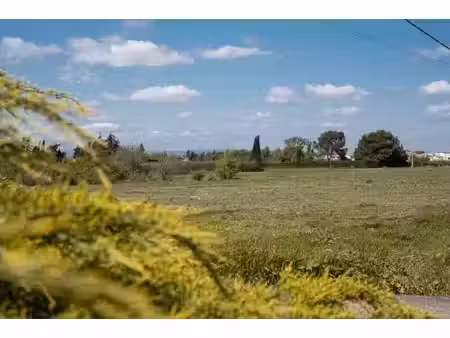 vente terrain 484 m² à sauvian (34410)  139 500 €