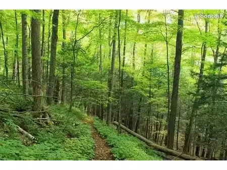 recherche terrain de loisirs