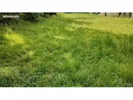 terrain 1 593 m² combrit