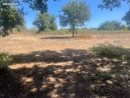 terrain agricole / loisir