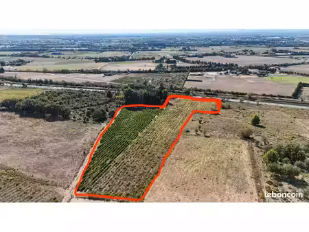vigne 17 000 m2 - cadre exceptionnel en camargue