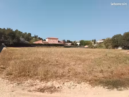 terrain constructible