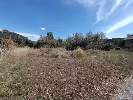 vente terrain à batir 16499 m² à saix (81710)  800 000 €
