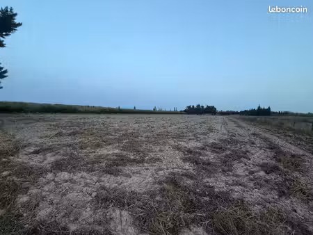 terrain agricole raccordé à l’électricité
