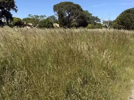 terrain 400 m² saubens