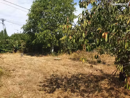 terrain constructible