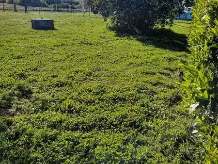 terrain constructible