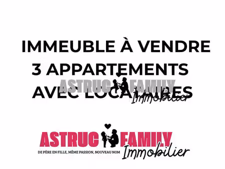 immeuble 8 pièces 240 m²