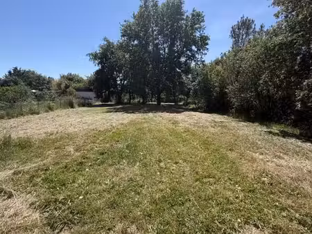 terrain 1 000 m² muret