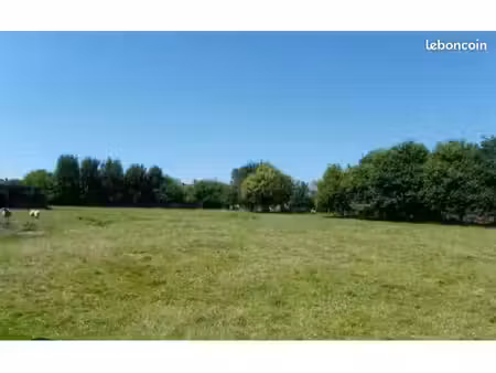 bâtiment + terrain