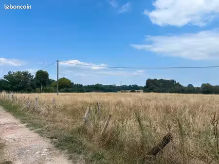 propriété de 5 ha de pins + prairie