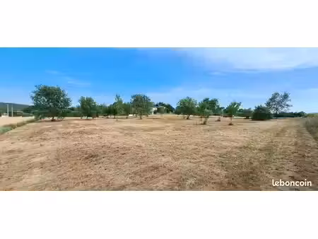 terrain a louer pour chevaux uniquement